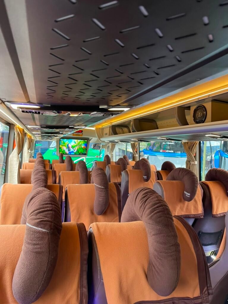 Medium Bus Mercedes Benz OF 917 2025 23c12bb1 a6cf 4c58 95b7 d5ca5c07ad81