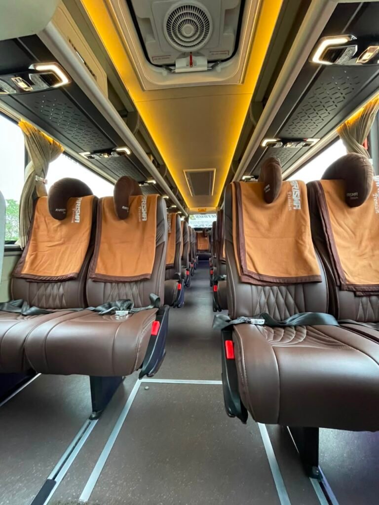 Medium Bus Mercedes Benz OF 917 2025 82539cc0 d9c1 4d8c 849b d926ed62bc01